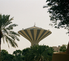 الرياض